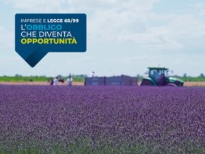 RIGHT HUB - L’obbligo che diventa opportunità