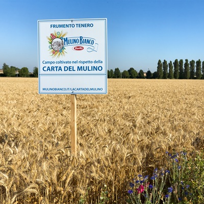 Barilla