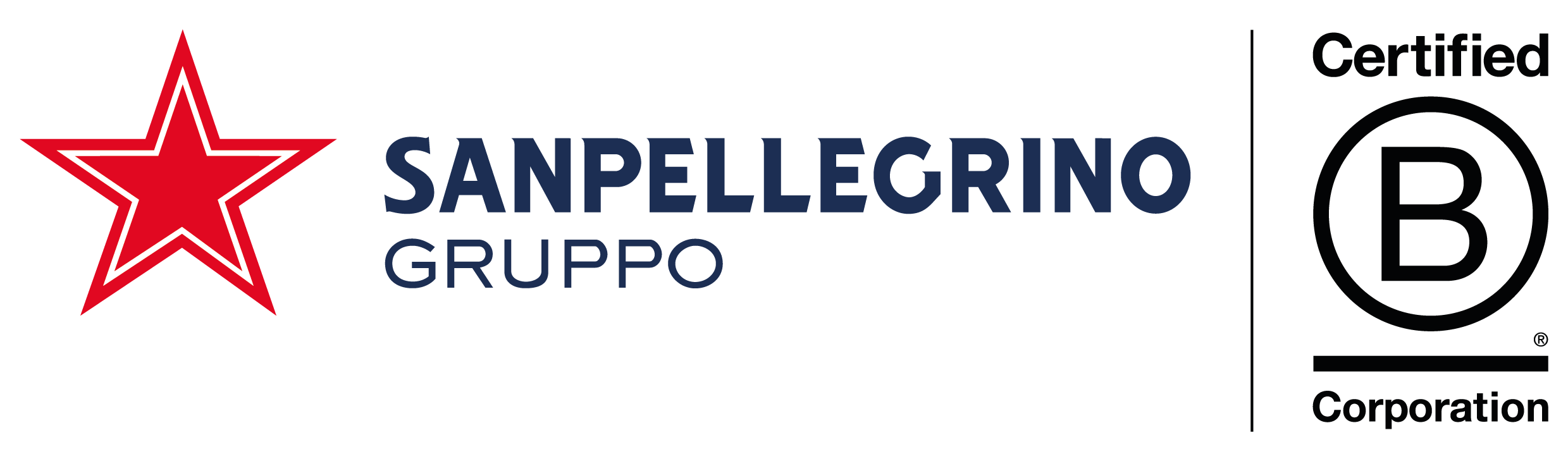 Logo Gruppo Sanpellegrino